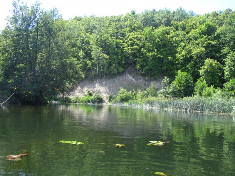 Река свапа Дмитриев