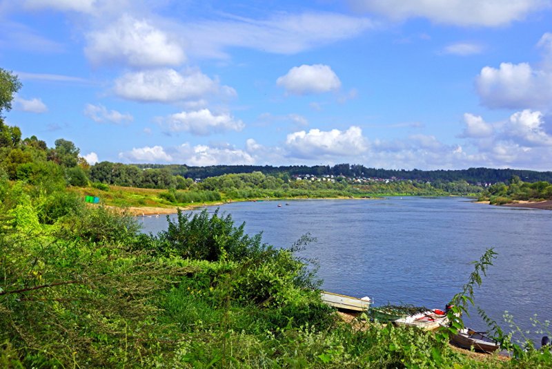 Река Таруса в Калужской области