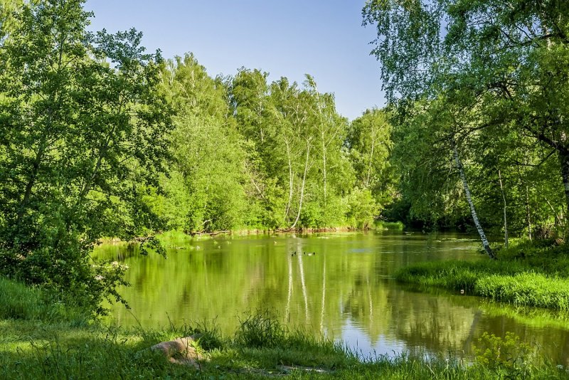 Река уча Ярославская область