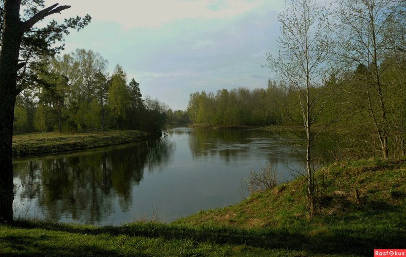 Река Березайка Тверская