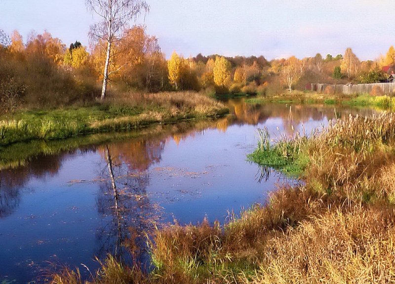 Протва река осень Золотая Можайск