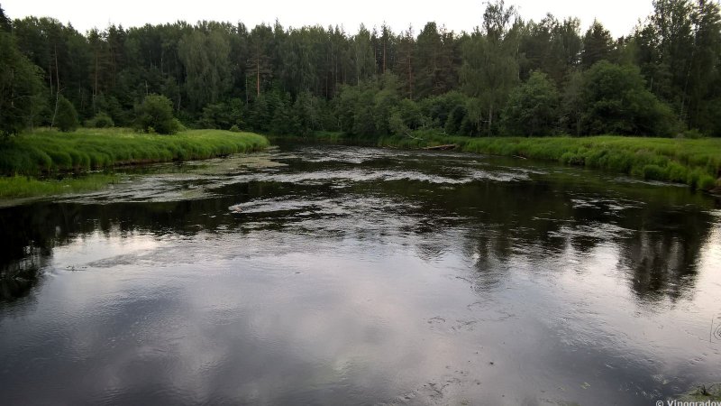 Река Березайка Бологовский район