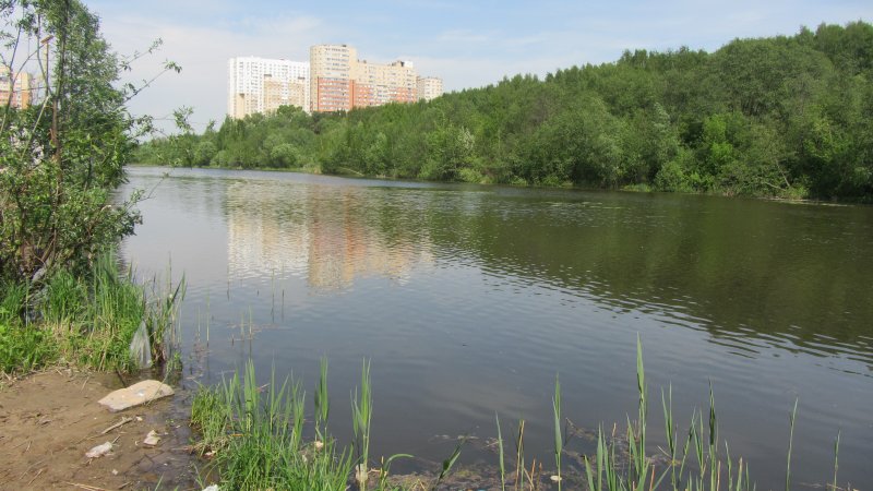 Акулова гора в Пушкино