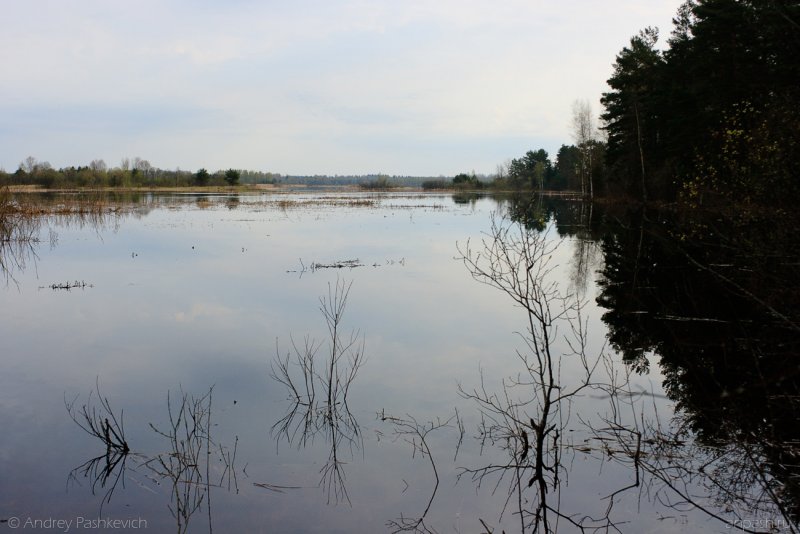 Озеро перед Могилевом