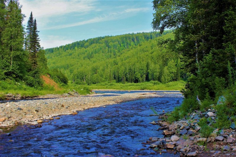 Река береза Тверская область
