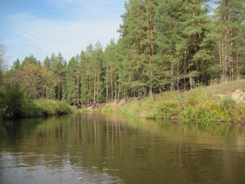 Река ИЖ Кировской области Пижанского района
