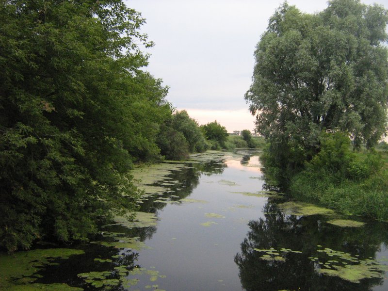Река Остер Смоленской