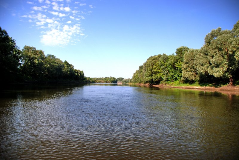 Река Жадунька природа