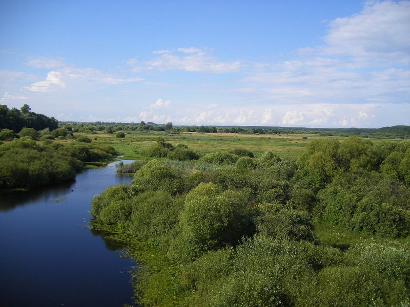 Река Беседь Брянской области