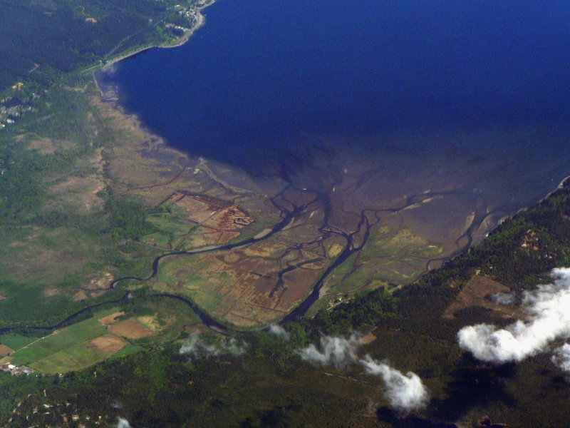Река Лена космический снимок