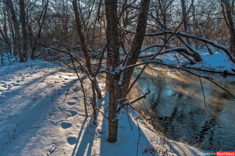Зима реки Сходня парк