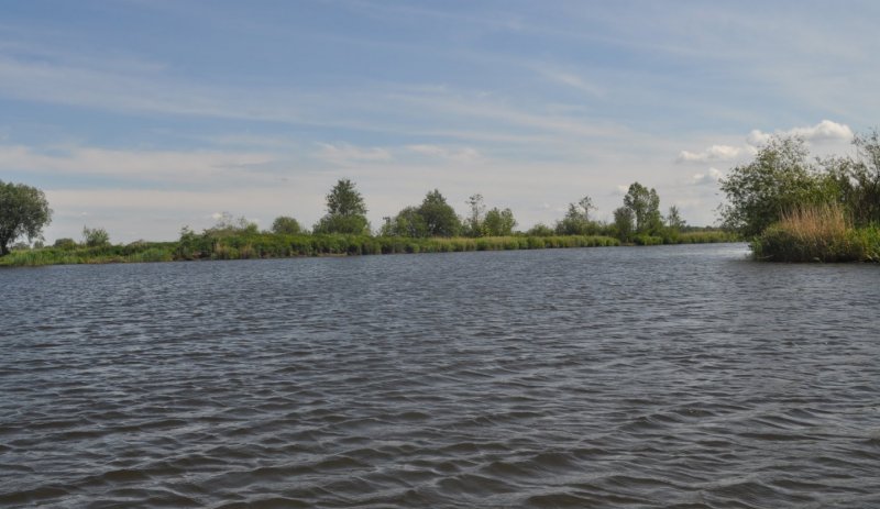 Глубина реки Преголя в Калининграде