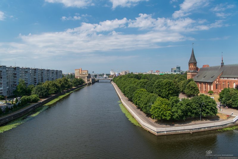 Калининград приголи река