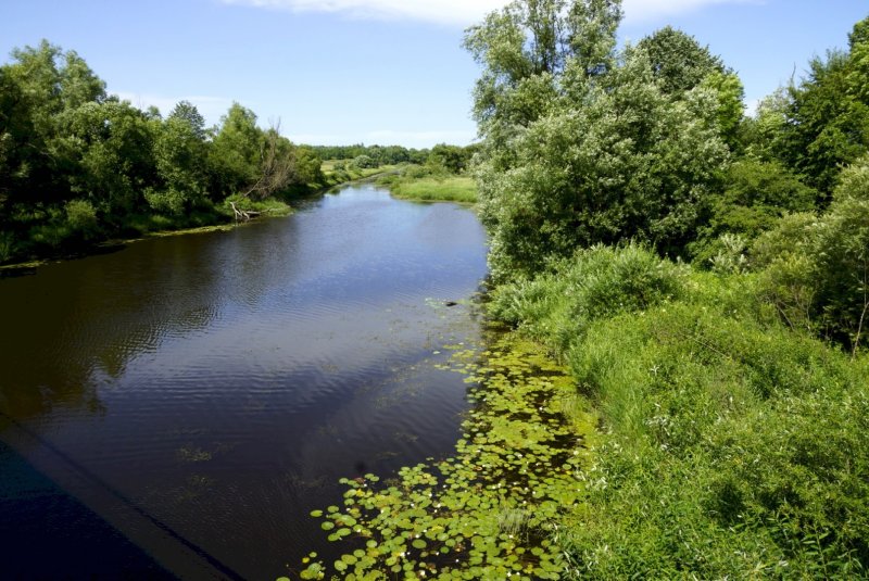 Река Инструч Черняховск