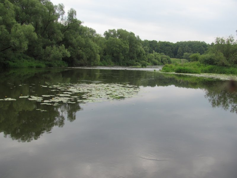 Щекинский район река УПА