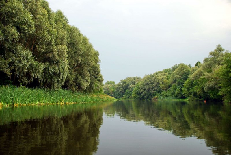Река Псел Курская область