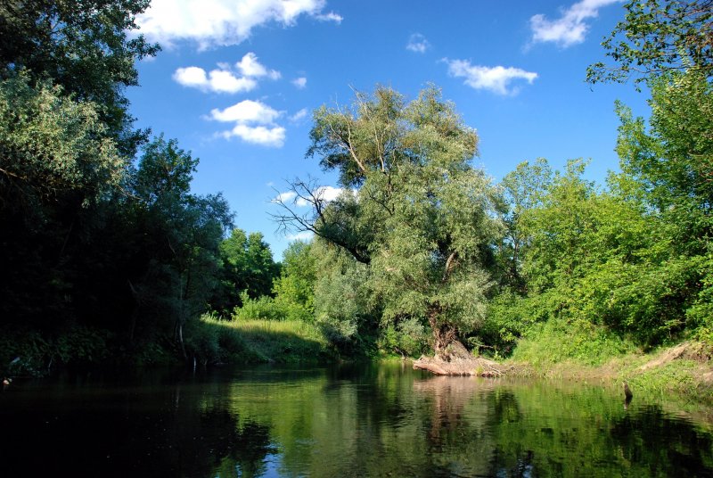 Река Псел в Курской области Судже