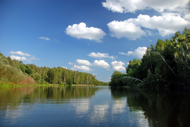 Река Псел Курская область