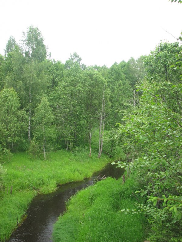 Река Вазуза Тверская область