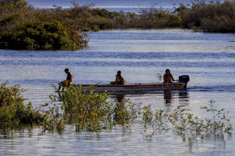 Фото амазонки реки животные острова