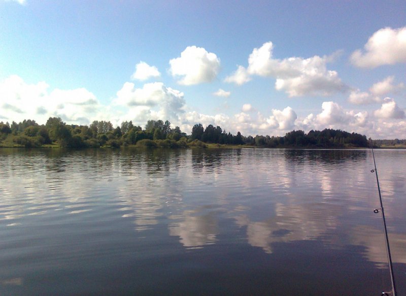 Река Шешма в Тверской области