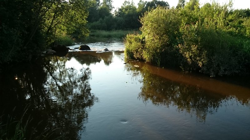 Река сабля Калязинский район