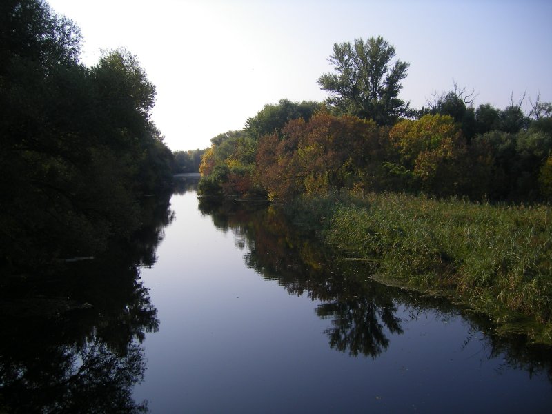Река Сива Удмуртия