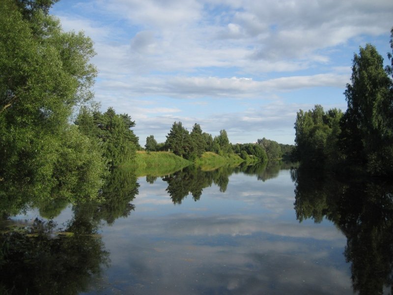 Река сабля Тверская область