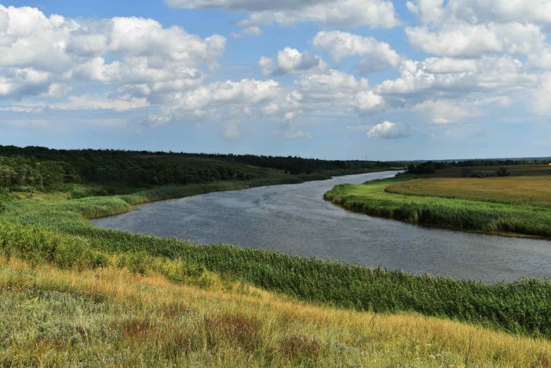 Прикубанская равнина река Кубань