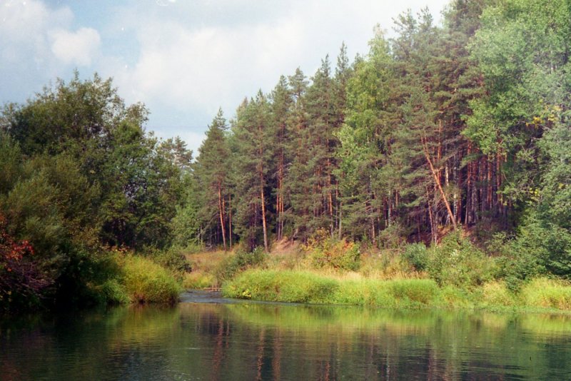 Река нея Костромская область