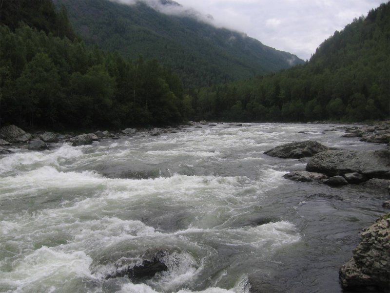 Река ВИГА Чухломский район