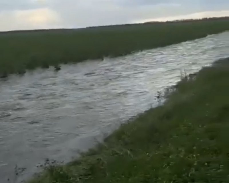 Река Меза Костромская область