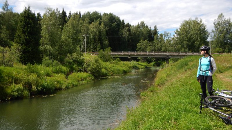 Река Нельша Костромской области