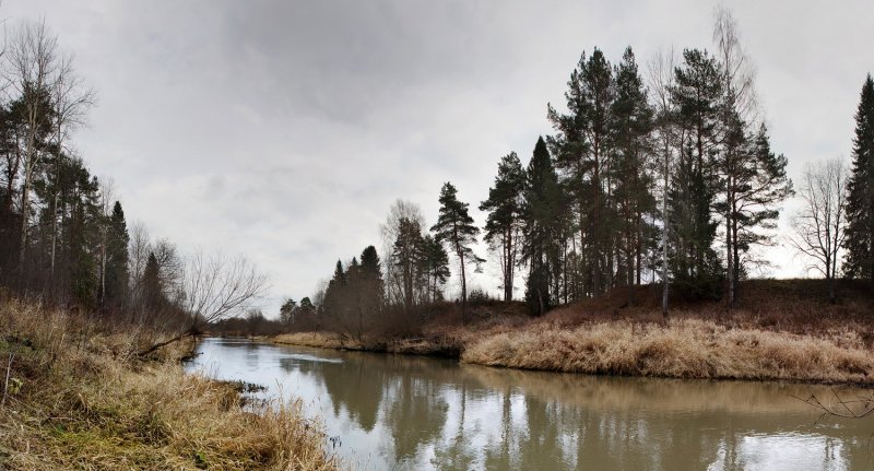 Река Номжа Костромской области