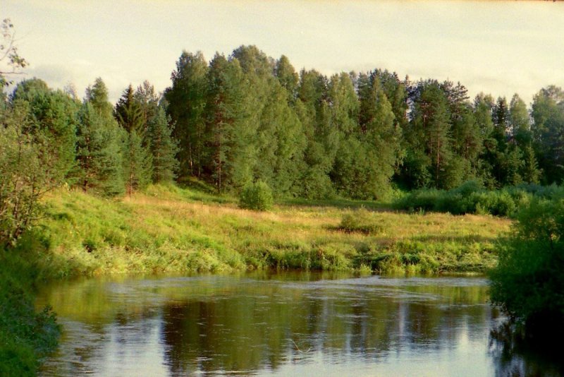 Река Нерехта Кострома
