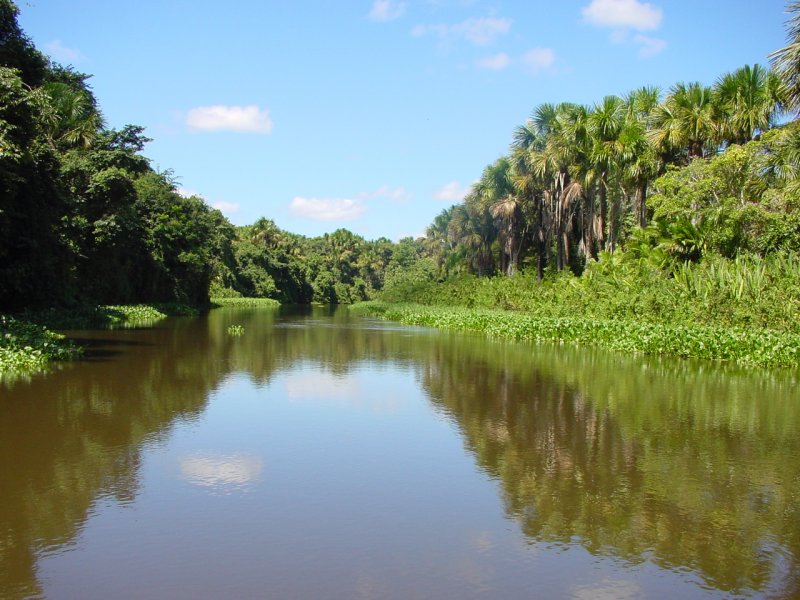 Река Рио Ориноко