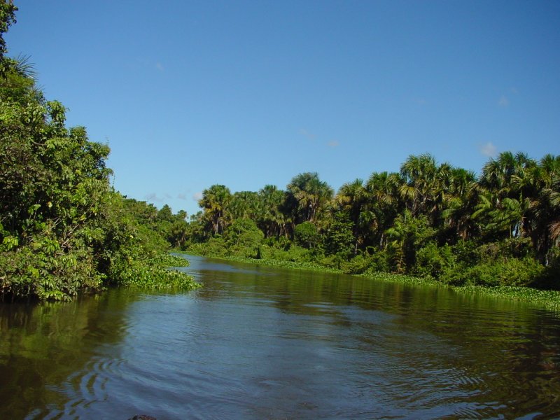 Дельта реки Ориноко