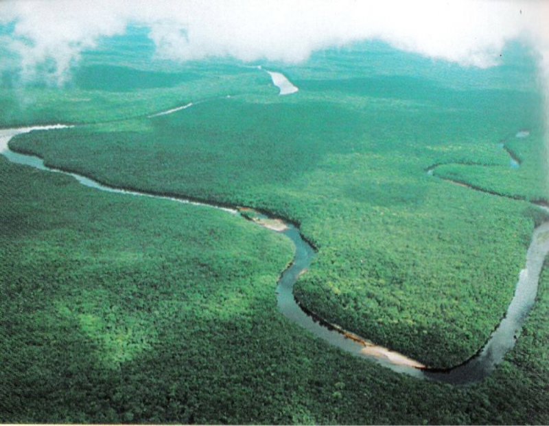 Река Ориноко