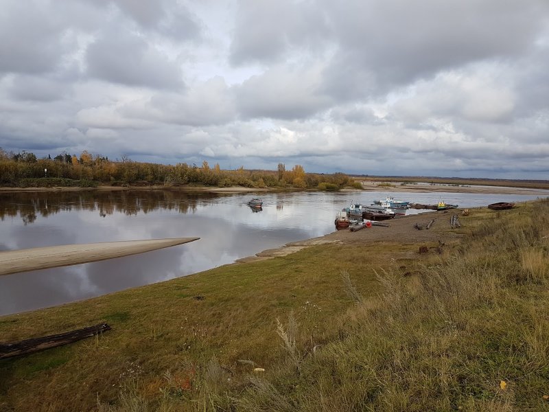 Томская область река Пайдугина