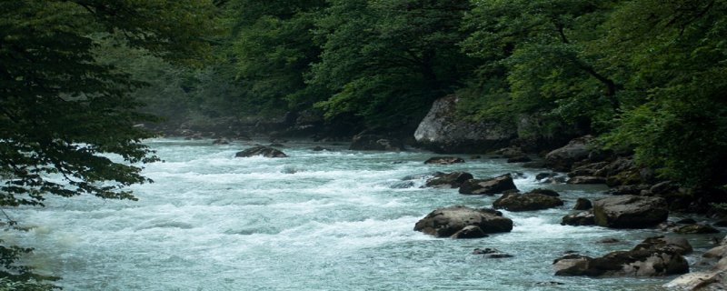 Сочинский река Псоу