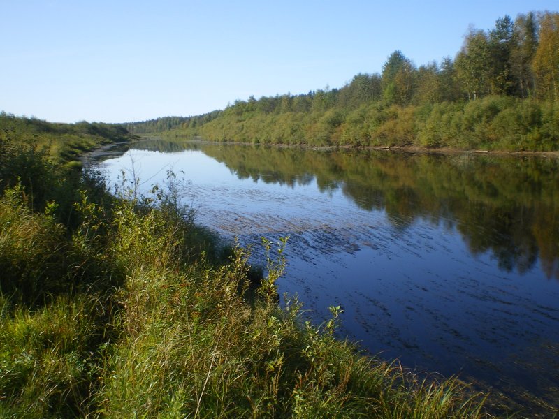 Река Кубена Вологодская область