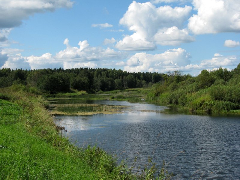 Река Кубена Вологодская область