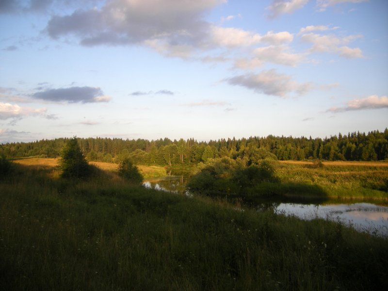 Плот река Вологда