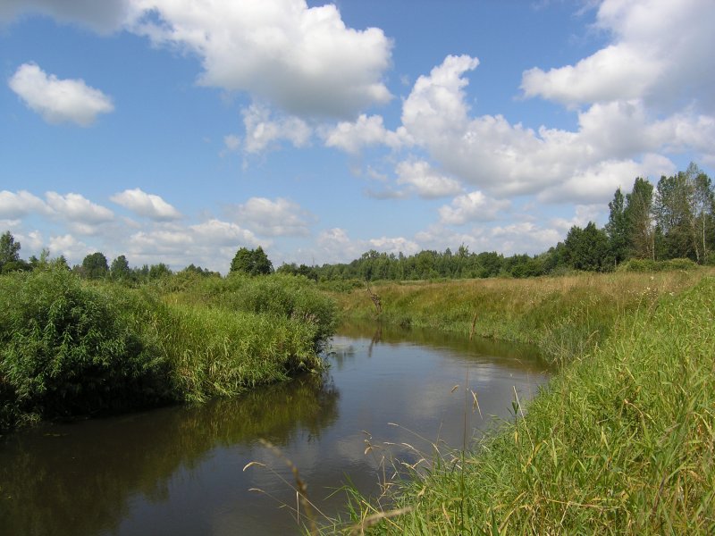 Река Кунья Сергиево-Посадский район