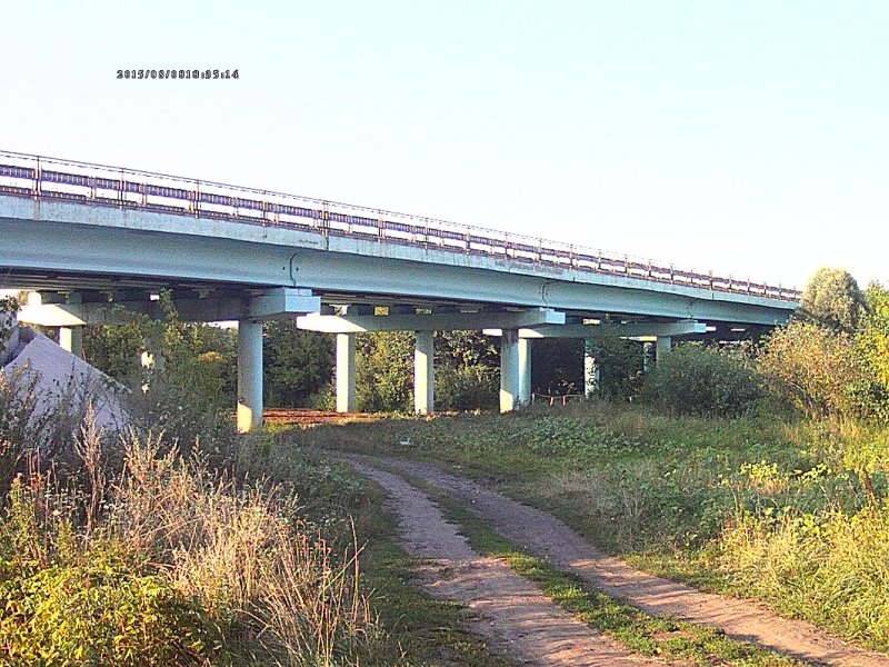 Локня Псковская область Железнодорожный мост