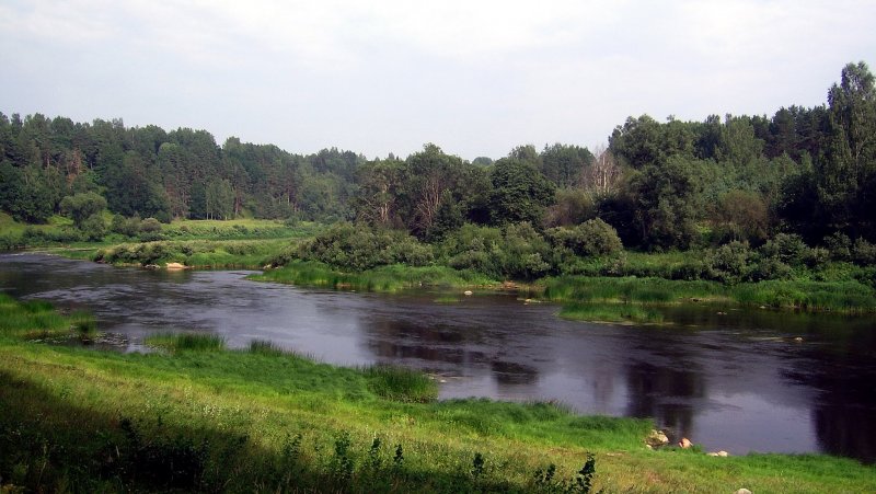 Исток реки Ловать