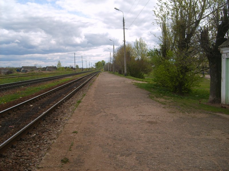 Железная дорога в Брасово