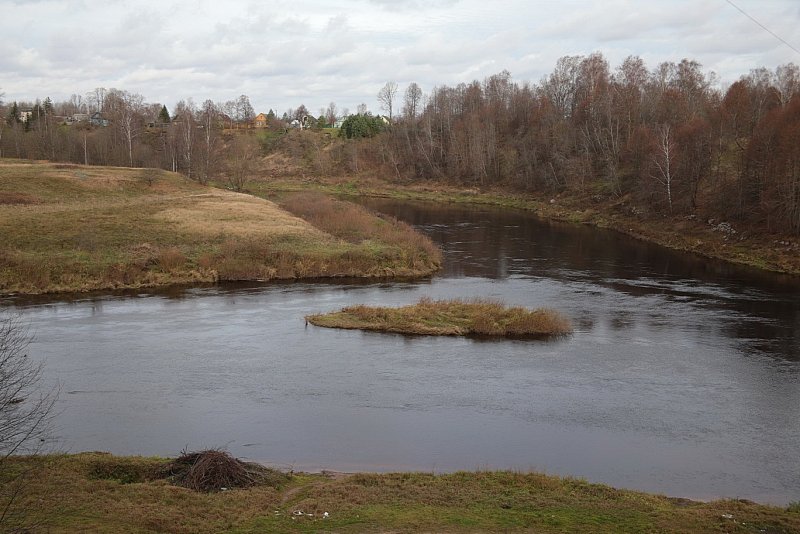 Река Кунья Новгородская область