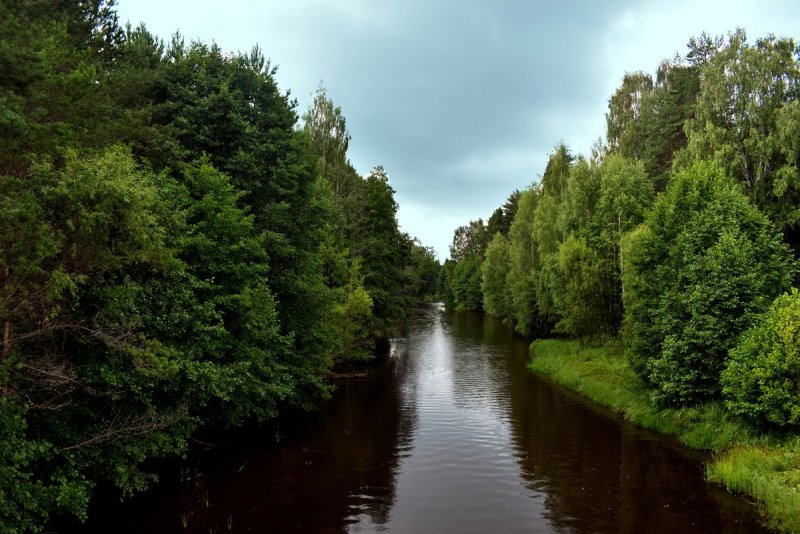 Река моча Нижегородская область
