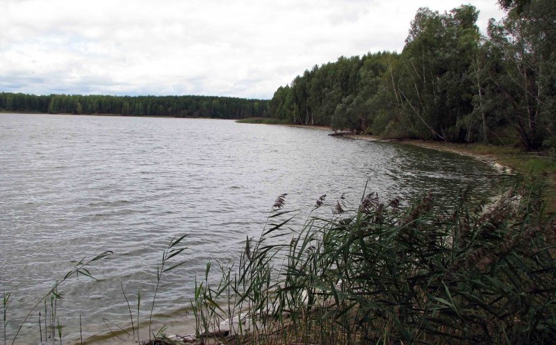 Река моча Нижегородская область